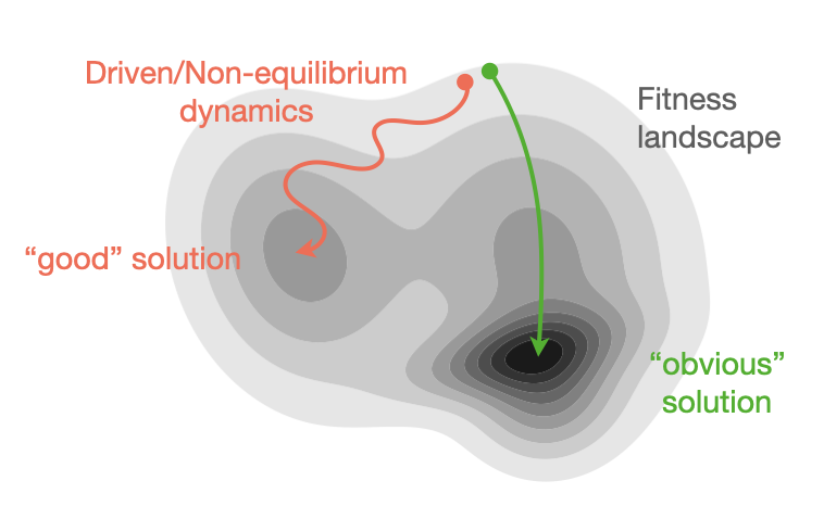 Implicit regularization in evolution